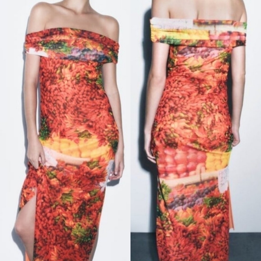 New Zara Picante All Over Print Over The Shoulder Tulle Maxi Dress NWT Small